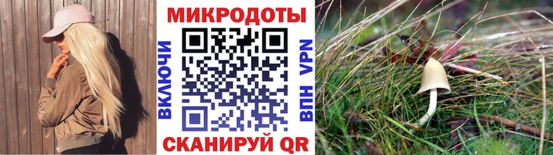 Псилоцибиновые грибы MAGIC MUSHROOMS  где можно купить наркотик  Холм 
