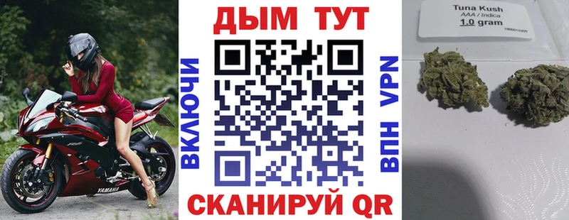 Каннабис гибрид  Холм 